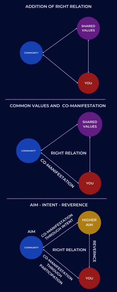 Infographic on the shared values, community, co-manifestation, reverence, higher-aim